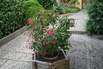 Garten im Oktober