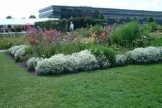 Sachsen Gartenbaubetriebe in Sachsen