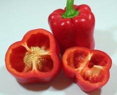 Paprika, Peperoni, Chili im Garten