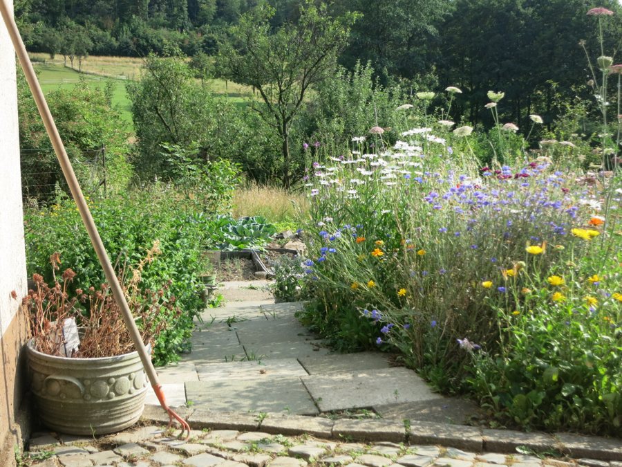 Gepflasterter Gartenweg zwischen blühenden Beeten und Gemüsebeet