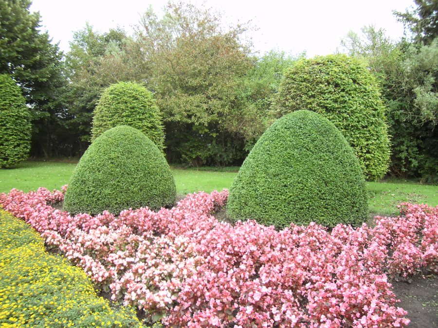 Formaler Garten mit Formschnitt und Blütenbeeten
