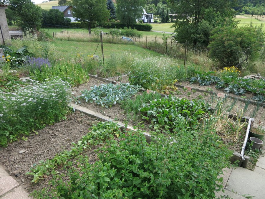 Gemüsebeete mit Kräutern und Blüten in einem ländlichen Bauerngarten