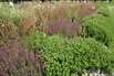 Galabau und Gartenbauer aus Nordrhein-Westfalen Galabau und Gartenbauer aus Nordrhein-Westfalen