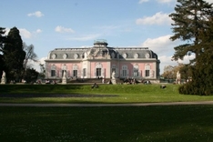 Der Kirschbaum