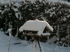 Garten im Januar