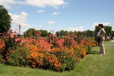 Gartenschauen 2011