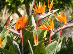 Gartenträume Ausstellungen