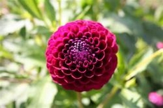Landesgartenschau Rosenheim 2010