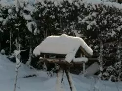 Garten im Januar