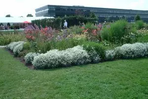 Gartenbaubetriebe in Sachsen